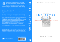1 & 2 Peter/Jude: A Commentary in the Wesleyan Tradition (New Beacon Bible Commentary) By Daniel G. Powers Cover Image