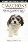 Cavachons - The Owner's Guide from Puppy to Old Age - Choosing, Caring for, Grooming, Health, Training and Understanding Your Cavachon Dog or Puppy By Morgan Andrews Cover Image