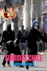 Furious Chile: Wände Schreien By G. Bull Cover Image