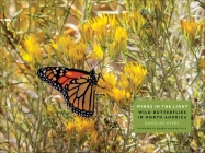 Wings in the Light: Wild Butterflies in North America Cover Image