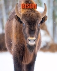 Bison: Amazing Facts & Pictures Cover Image