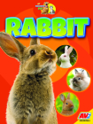 Rabbit By Jared Siemens Cover Image