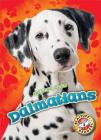 Dalmatians (Awesome Dogs) By Mari C. Schuh Cover Image