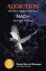 Addiction: the Dark Night of the Soul/ Nad+: the Light of Hope By Paula Norris Mestayer, Leslee Goodman (With) Cover Image