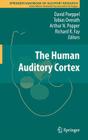 The Human Auditory Cortex (Springer Handbook of Auditory Research #43) Cover Image