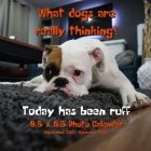 What Dogs Are Really Thinking! 8.5 X 8.5 Calendar September 2021 -December 2022: Today Has Been Ruff - Humorous Dog Calendar - Funny Dog Gift for Dog By Dazzle Book Press Cover Image