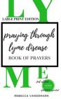 Praying through Lyme Disease (Large Print Edition) By Rebecca Vandemark Cover Image