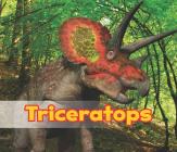 Triceratops (All about Dinosaurs) By Daniel Nunn Cover Image