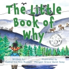 The Little Book of Why Cover Image