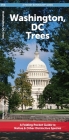 Washington DC Trees: A Folding Pocket Guide to Familiar Trees (Pocket Naturalist Guide) By Waterford Press, Raymond Leung (Illustrator) Cover Image