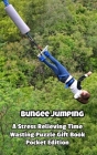 Bungee Jumping a Stress Relieving Time Wasting Puzzle Gift Book Cover Image