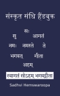 संस्कृत संधि हैंडबुक By Sadhvi Hemswaroopa Cover Image