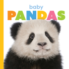 Baby Pandas (Starting Out) By Kate Riggs Cover Image