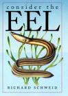 Consider the Eel By Richard Schweid Cover Image