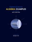 Algebra Examples Basic Functions By Seong R. Kim Cover Image