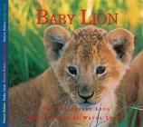 Baby Lion (Nature Babies) By Aubrey Lang, Wayne Lynch (Photographer) Cover Image