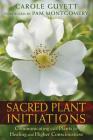 Sacred Plant Initiations: Communicating with Plants for Healing and Higher Consciousness Cover Image