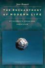 The Enchantment of Modern Life: Attachments, Crossings, and Ethics Cover Image
