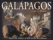 Galápagos: Life in Motion By Walter Perez, Michael Weisberg Cover Image