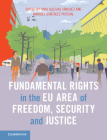 Fundamental Rights in the Eu Area of Freedom, Security and Justice By Sara Iglesias Sánchez (Editor), Maribel González Pascual (Editor) Cover Image