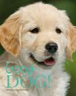 Good Dog! By Nicola Jane Swinney Cover Image