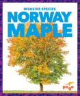 Norway Maple (Invasive Species) By Alicia Z. Klepeis Cover Image