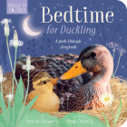 Bedtime for Duckling: A peek-through storybook Cover Image