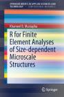 R for Finite Element Analyses of Size-Dependent Microscale Structures Cover Image
