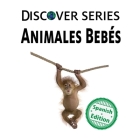 Animales Bebés: (Baby Animals) By Xist Publishing Cover Image