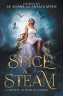 Spice & Steam By Ac Adams, Madilynn Dale, Brandi Barnes Cover Image