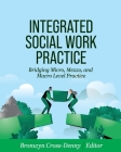 Integrated Social Work Practice: Bridging Micro, Mezzo, and Macro Level Practice Cover Image