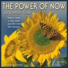 The Power of Now 2025 Wall Calendar: A Year of Inspirational Quotes By Eckhart Tolle, Amber Lotus Publishing Cover Image