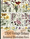 1914 Vintage Botany Botanical Illustration Sizes Cover Image