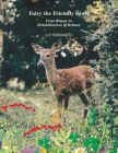 Fairy the Friendly Fawn: From Rescue to Rehabilitation to Release Cover Image