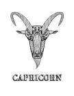Capricorn: Coloring Book with Three Different Styles of All Twelve Signs of the Zodiac. 36 Individual Coloring Pages. 8.5 x 11 By Blank Slate Journals Cover Image