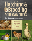 Hatching & Brooding Your Own Chicks: Chickens, Turkeys, Ducks, Geese, Guinea Fowl By Gail Damerow Cover Image