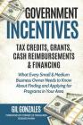 Government Incentives- Tax Credits, Grants, Cash Reimbursements & Financing What Every Small & Medium Sized Business Owner Needs to Know about Finding By Rosario Marin, Gil Gonzales Cover Image