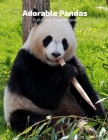 Adorable Panda Full-Color Picture Book: Giant Panda Picture Book -Panda Nature Animals By Fabulous Book Press Cover Image