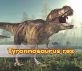 Tyrannosaurus Rex (All about Dinosaurs) By Daniel Nunn Cover Image