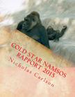 Cold Star Namsos Rapport 2015 Cover Image