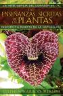 Las enseñanzas secretas de las plantas: La inteligencia del corazón en la percepción directa de la naturaleza Cover Image