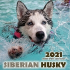 The Siberian Husky 2021 Mini Wall Calendar Cover Image