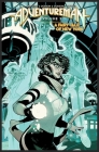 Adventureman, Volume 2: A Fairy Tale of New York By Matt Fraction, Terry Dodson (Artist), Rachel Dodson (Artist) Cover Image