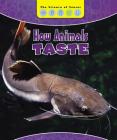 How Animals Taste By Laura L. Sullivan Cover Image