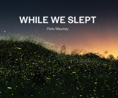 While We Slept Cover Image