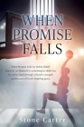 When Promise Falls: When Promise Falls for Bobby Ridell, innocent yet blamed for something he didn't do, he comes back through a friend's By Stone Carter Cover Image