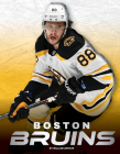 Boston Bruins By William Arthur Cover Image