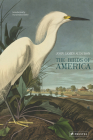 The Birds of America By John James Audubon, David Allen Sibley (Introduction by) Cover Image