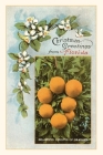 Vintage Journal Christmas Greetings from Florida By Found Image Press (Producer) Cover Image