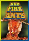 Red Fire Ants (Invasive Species Takeover) Cover Image